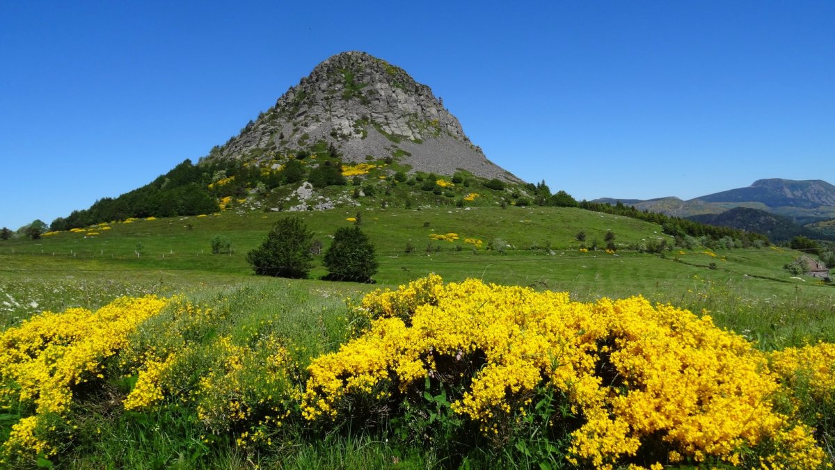 Mont Gerbier de Jonc is a phonolitic protuberance