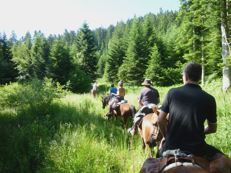 Randonnées à cheval entre amis ou en famille dans la campagne et en forêt