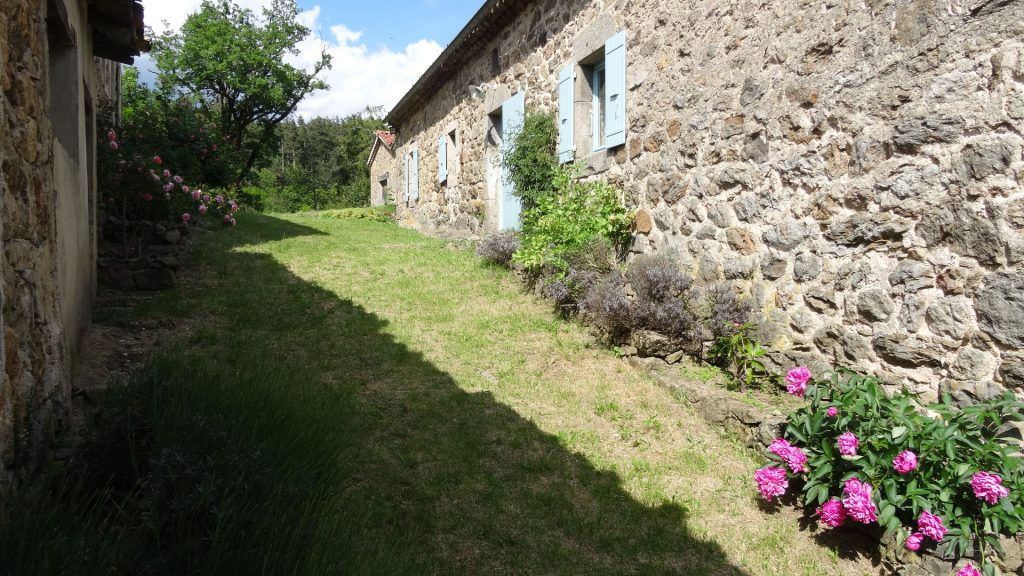 The cottage is in a quiet green flowered place near the forest