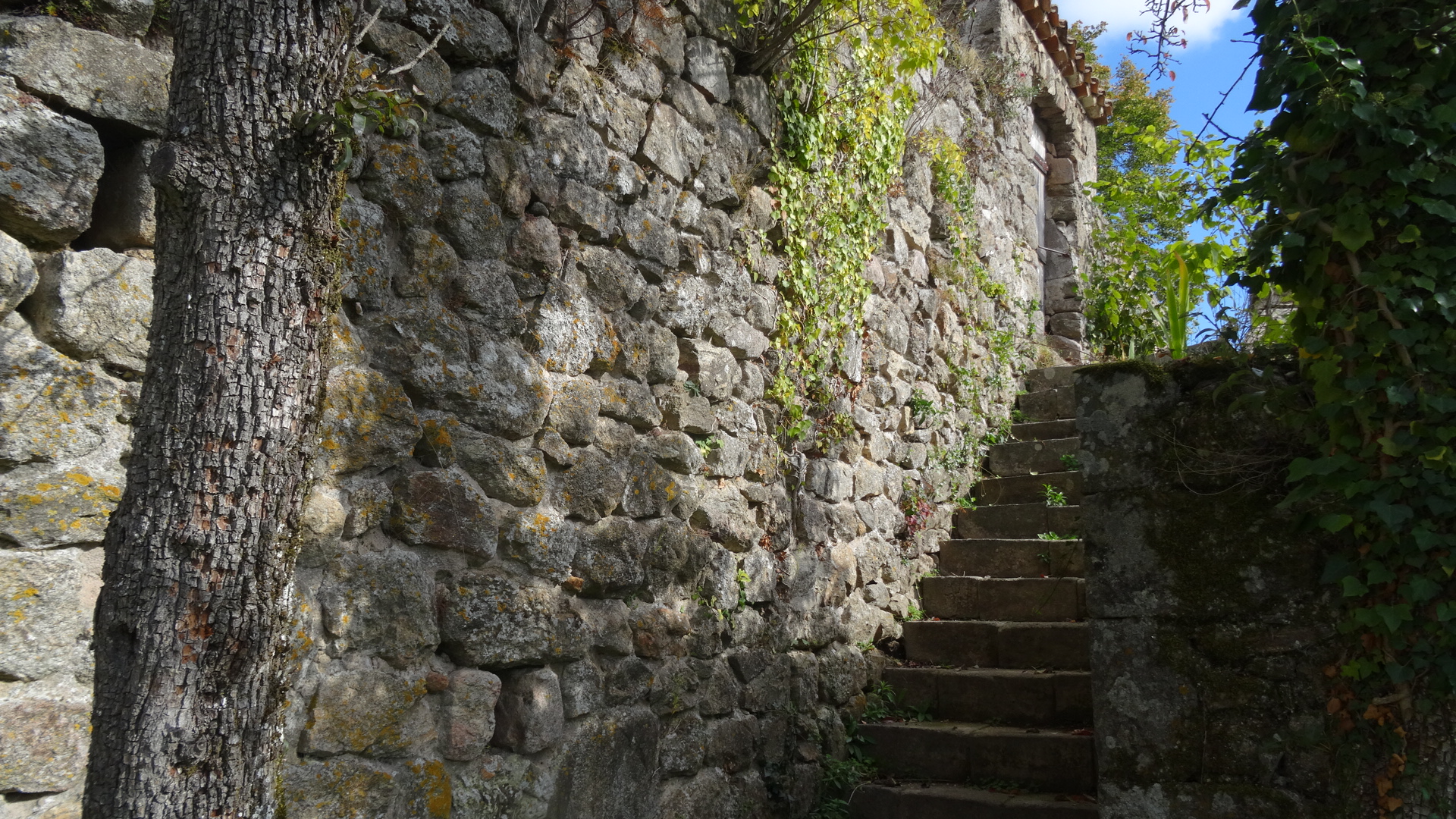 Access to the garden is via a small stone staircase