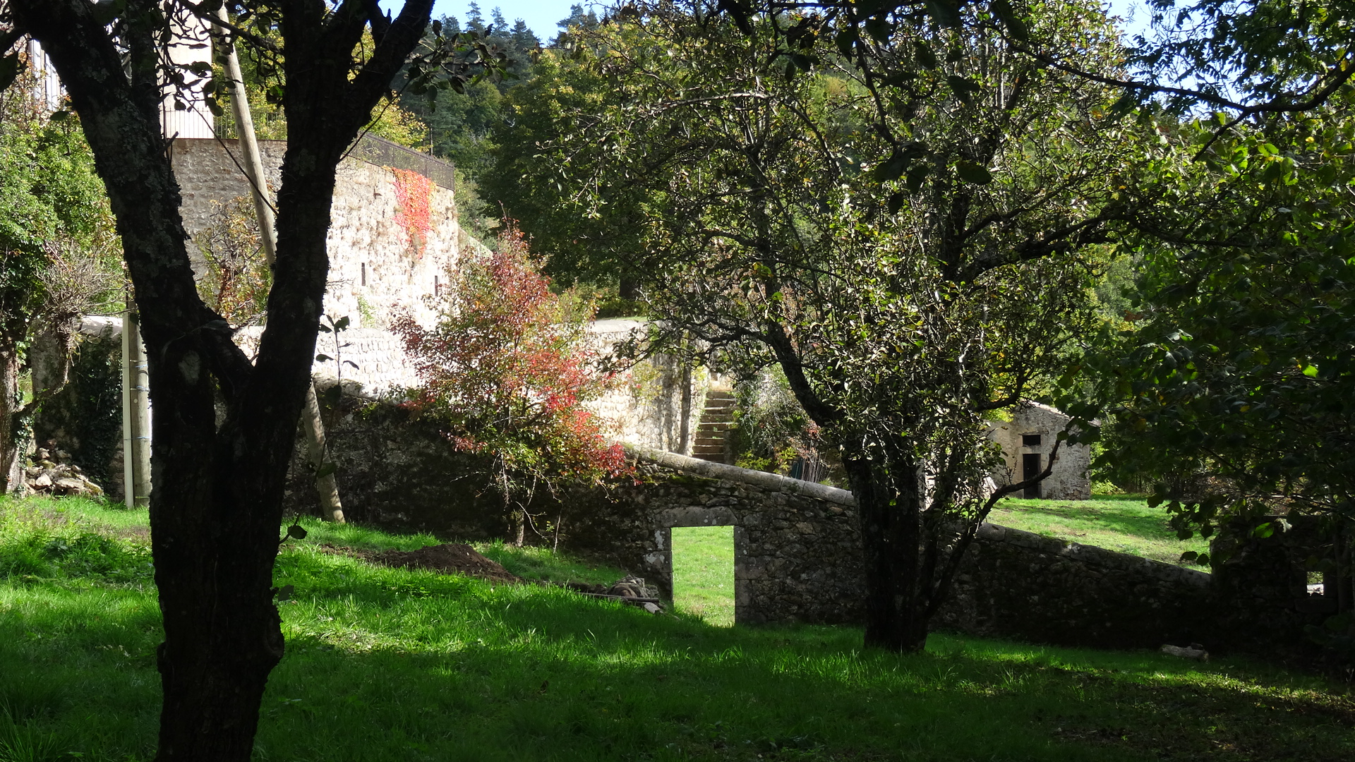 The garden is a green space surrounded by stone walls and trees