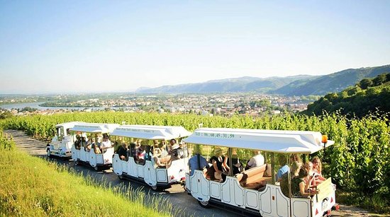 Little train for a visit in the vineyards